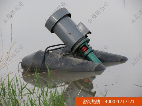 [福建漳州]4寸立式泥漿泵 用于魚塘清淤